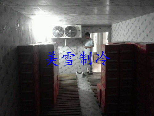 苹果橙子--番禺店面冷库-售后保养,