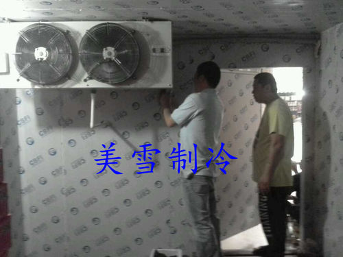 苹果橙子--番禺店面冷库-售后保养,