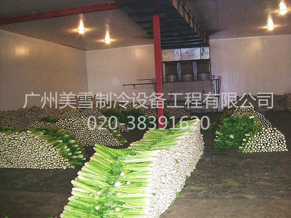 蔬菜冷库--珠海食品加工厂-仓储冷库