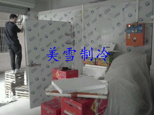 苹果橙子--番禺店面冷库-售后保养,