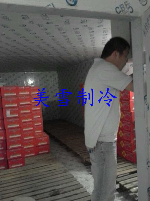 苹果橙子--番禺店面冷库-售后保养,