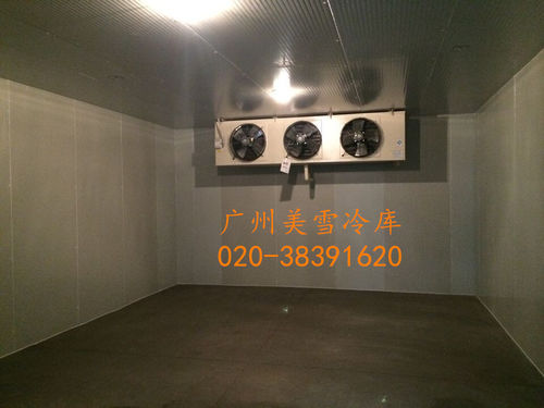 车间冷库--南沙21客冷藏冷冻库-工程施工,