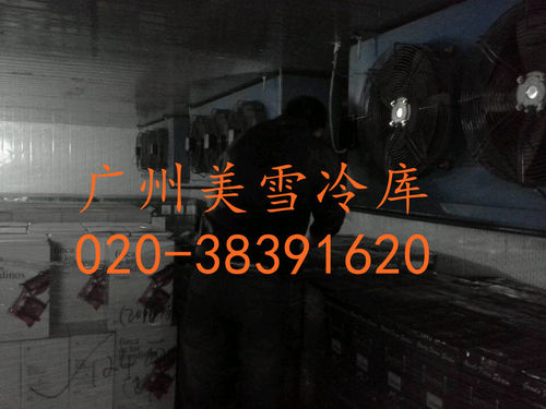 红酒冷库--黄村2000立方冷藏库-维护中,