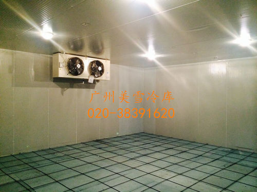 车间冷库--南沙21客冷藏冷冻库-工程施工,