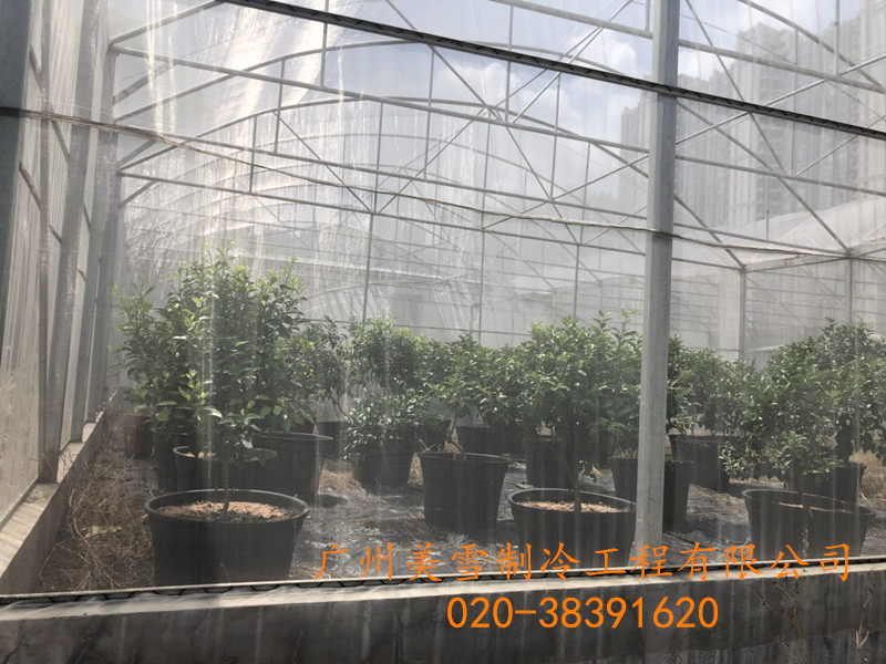 微信图片_20180720091030.jpg