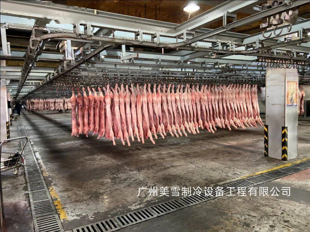 鸡猪牛羊肉 档口 商超 仓库 中转 市场 仓库物流冷冻库 速冻库