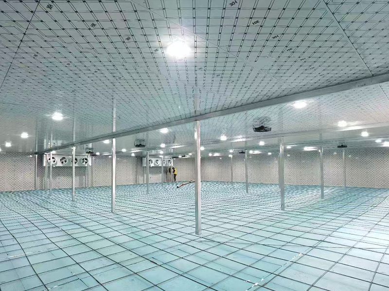 蔬菜冷库-农业冷库-河源露天1000平方蔬菜仓储冷库,