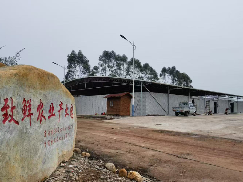 蔬菜冷库-农业冷库-河源露天1000平方蔬菜仓储冷库